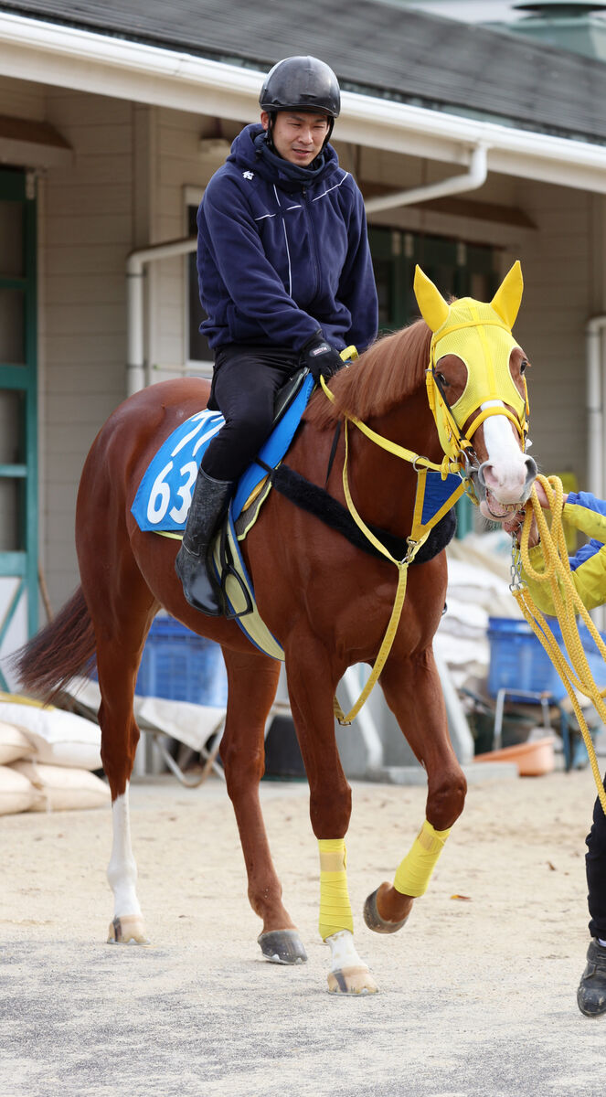 【アメリカＪＣＣ】ボルドグフーシュが長欠明け２走目で完全復活　２２年菊花賞、有馬記念２着