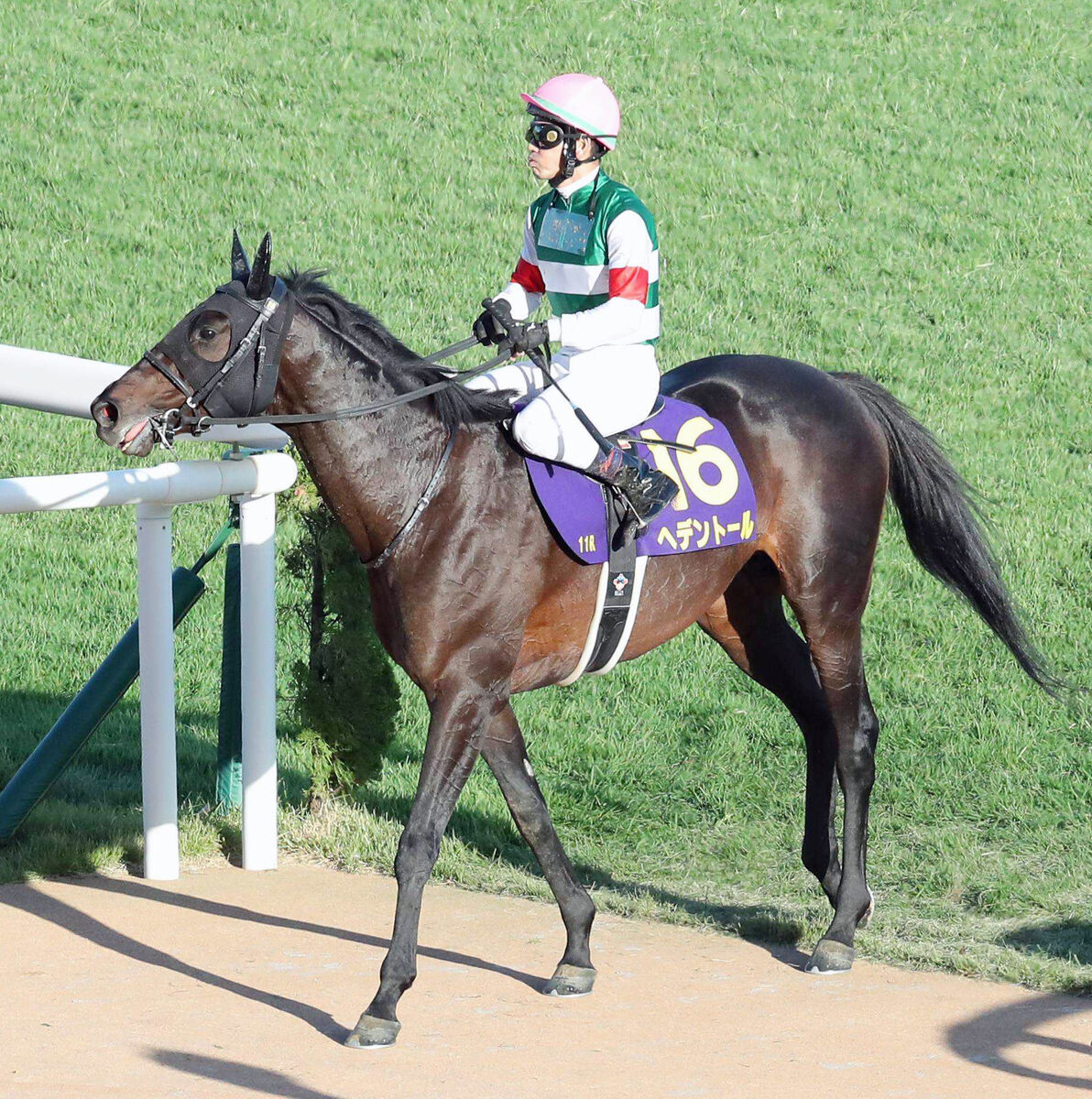 【注目馬動向】菊花賞２着馬ヘデントールは天皇賞・春が最大目標　復帰戦はダイヤモンドＳを視野