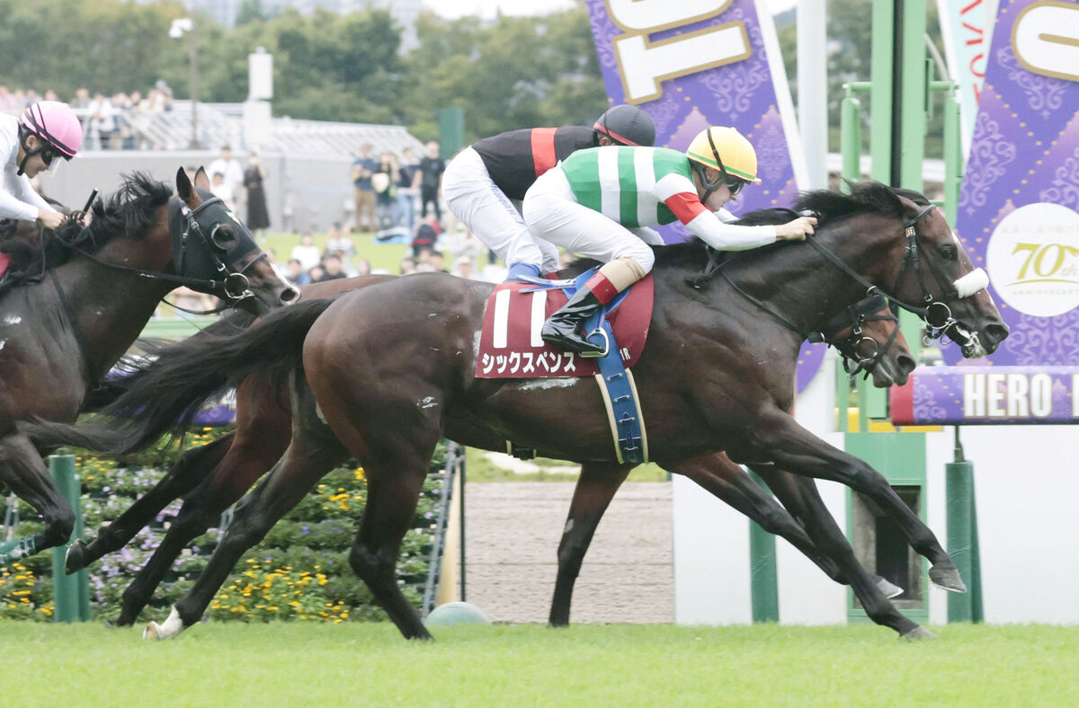 【注目馬動向】毎日王冠で古馬撃破のシックスペンス　中山記念での復帰を目指す