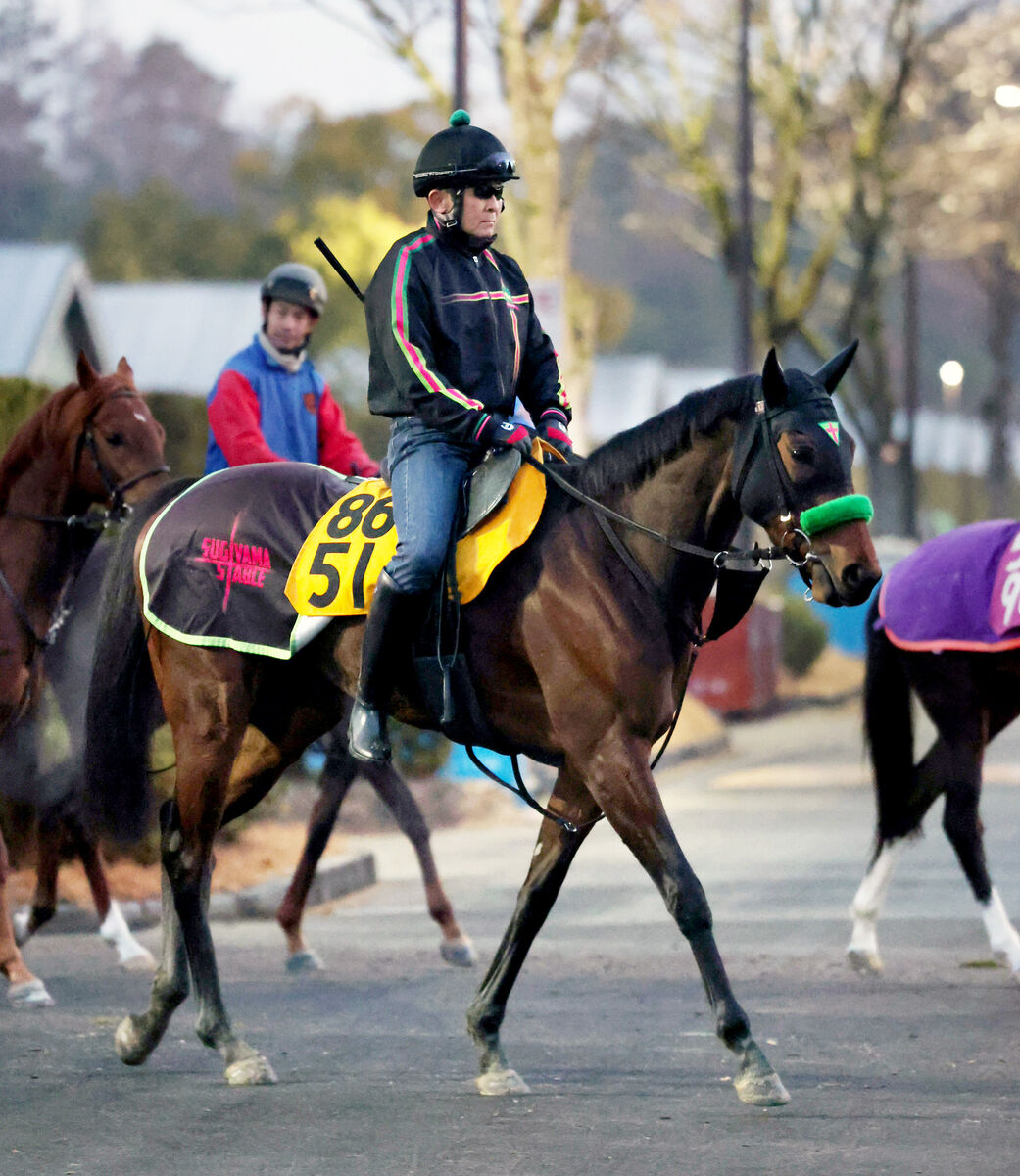 【小倉牝馬Ｓ】格上挑戦オーロラエックス　初代小倉女王目指す　松山弘平騎手は１０年半ぶり５１キロで騎乗