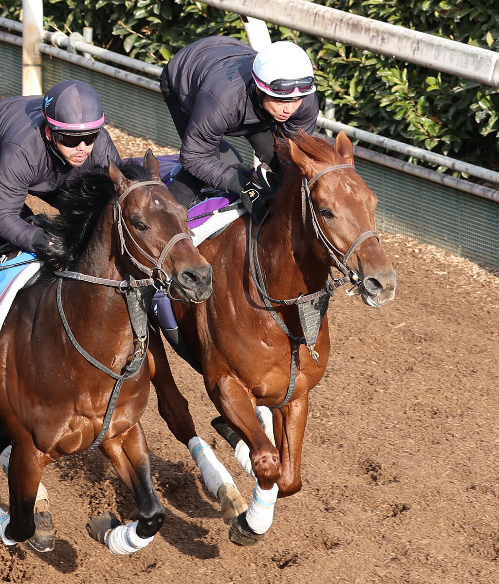 【アメリカＪＣＣ】昨年の日本ダービー馬ダノンデサイルは坂路でダイナミック　安田調教師「態勢は整っています」