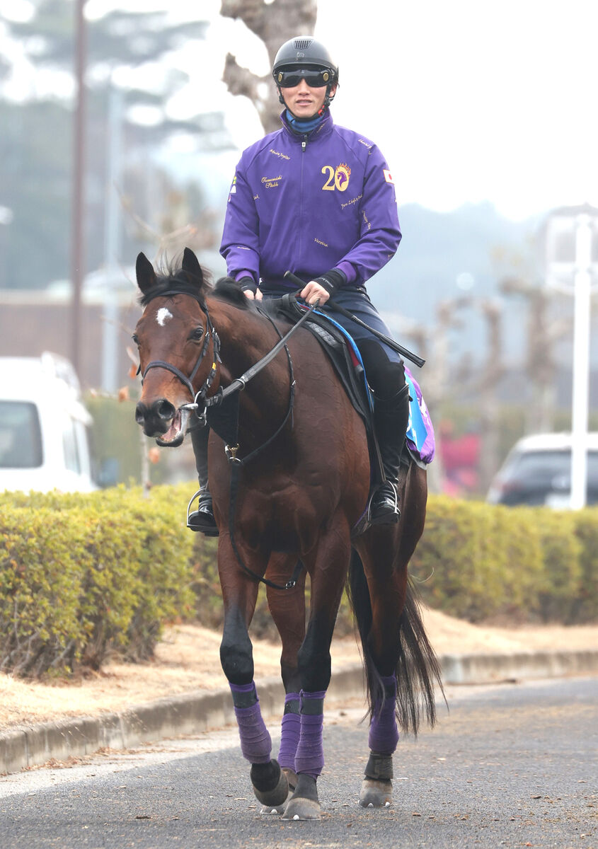 【注目馬動向】サトノグランツはカタールのアミールＴでスミヨン騎手と初コンビ　ドバイへの転戦も選択肢