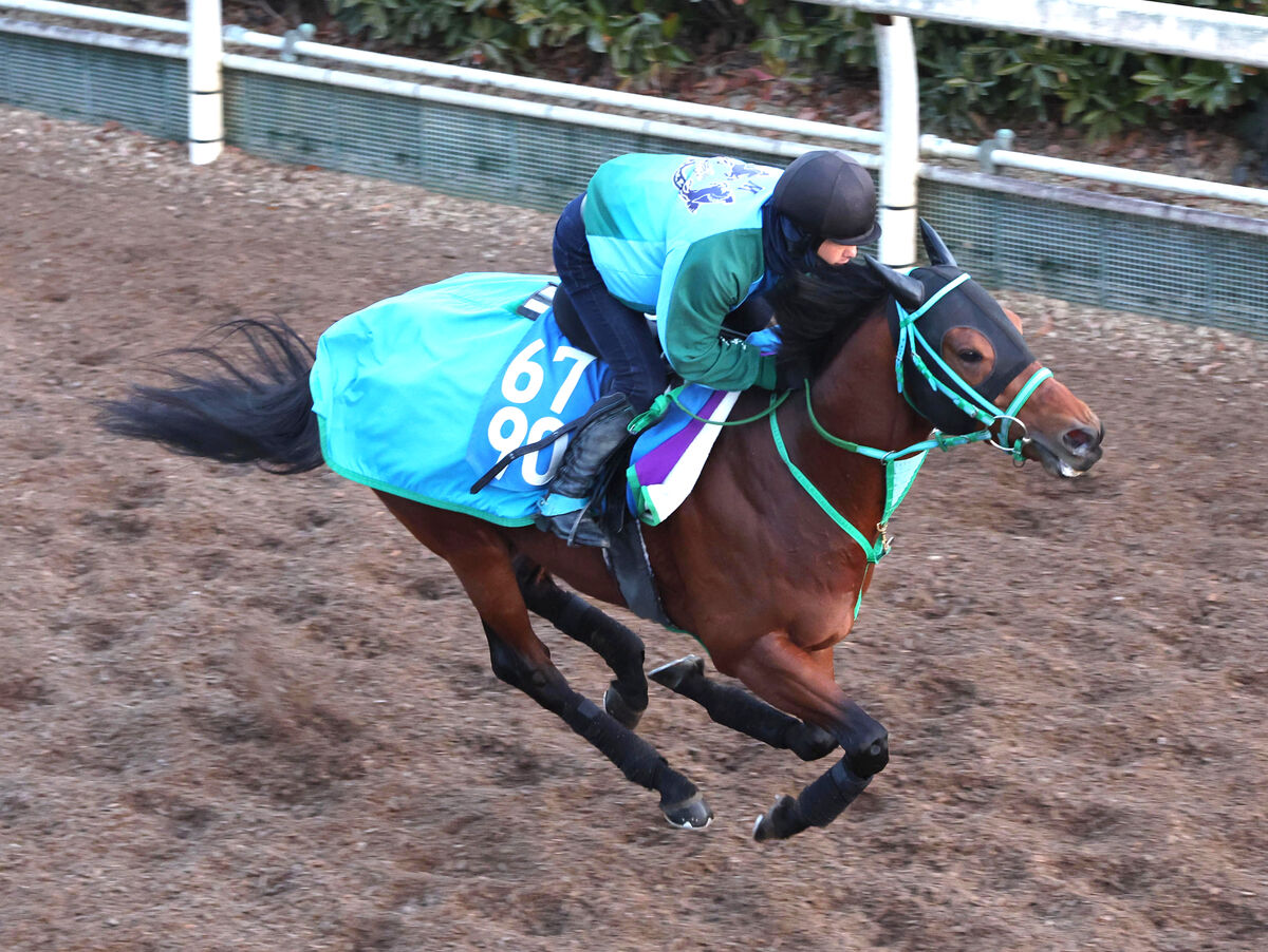 【プロキオンＳ】武蔵野Ｓで２着のカズペトシーンは坂路で上々の動き　池添調教師「すごく状態はいい」