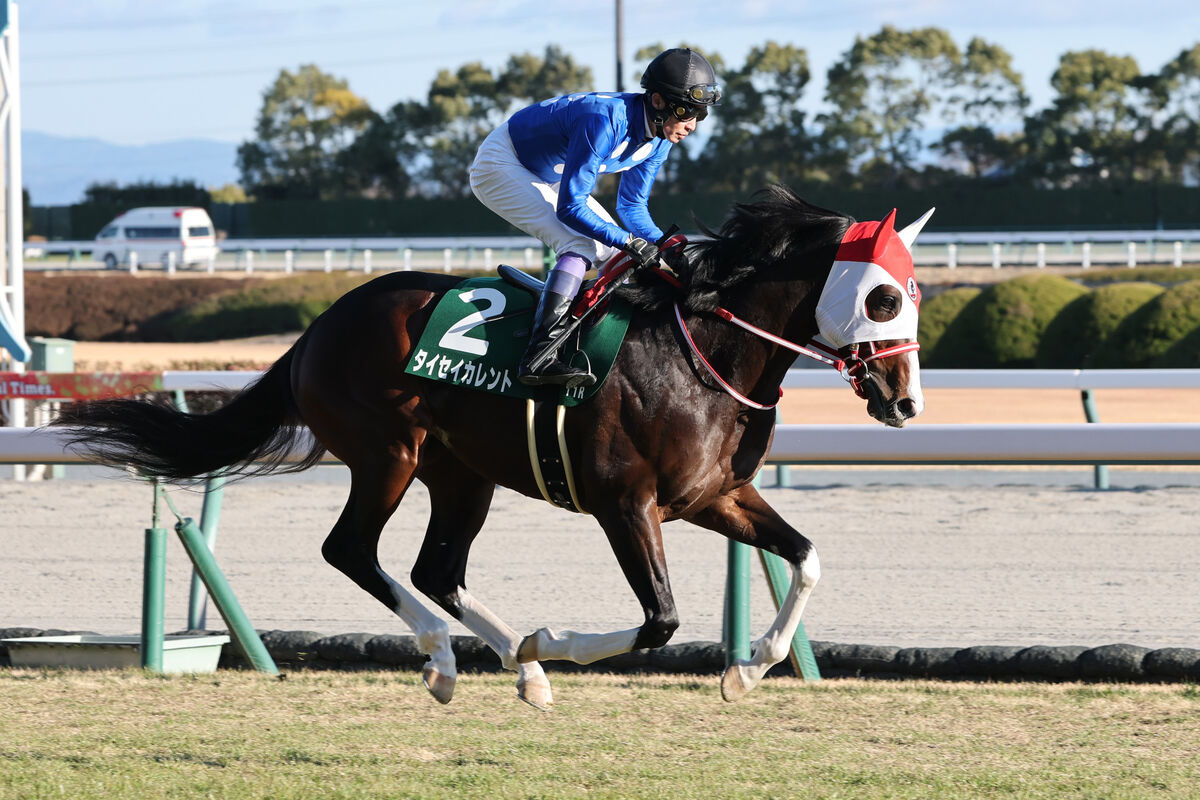 【注目馬動向】シンザン記念５着のタイセイカレントは雲取賞でダートに初挑戦　矢作調教師「試してみたかった」