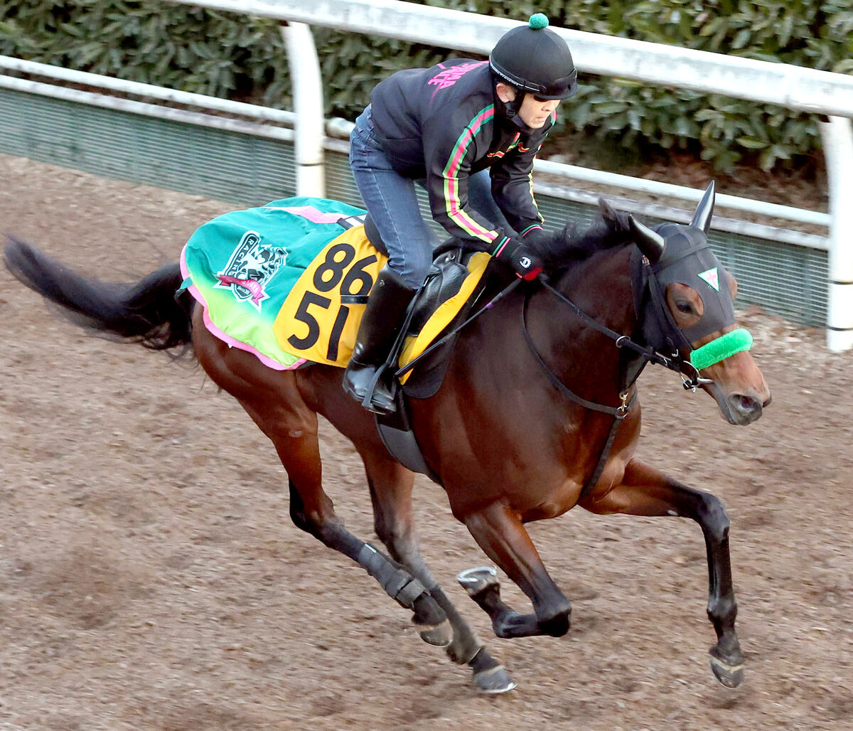 【小倉牝馬Ｓ】オーロラエックスは坂路でゆったりとした走り　松山弘平騎手は１０年半ぶりに５１キロで騎乗