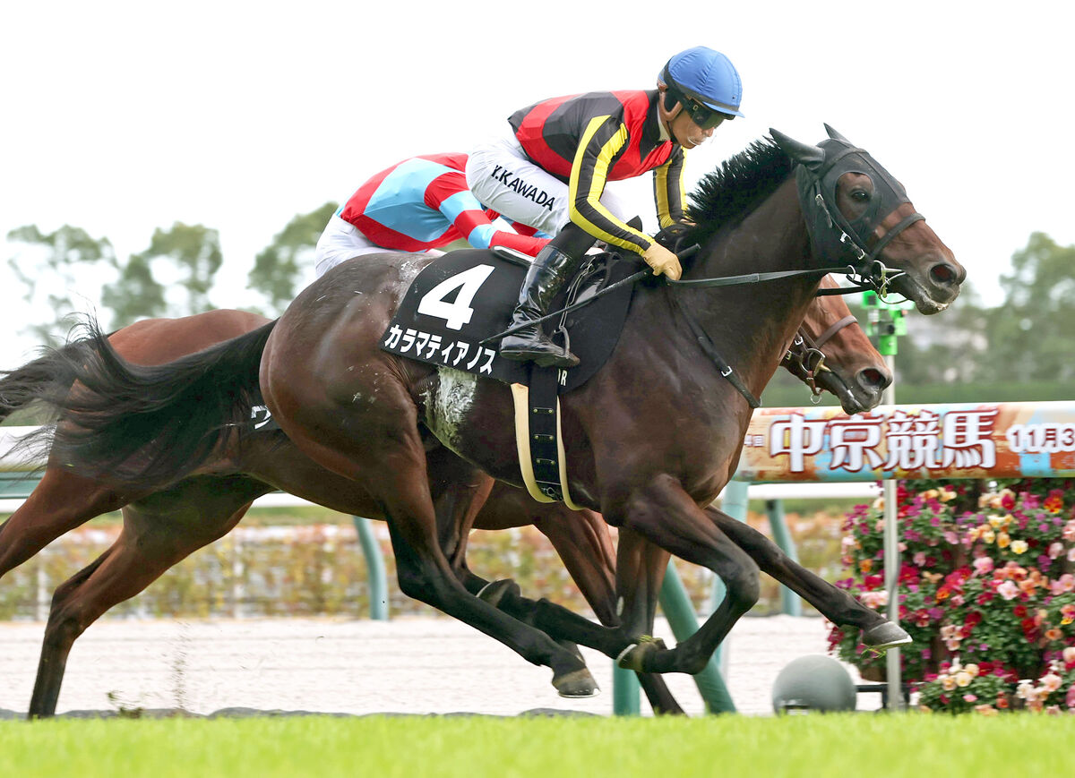 【ＰＯＧ】カラマティアノスは戸崎圭太騎手との初コンビで共同通信杯へ　２連勝でこうやまき賞制覇