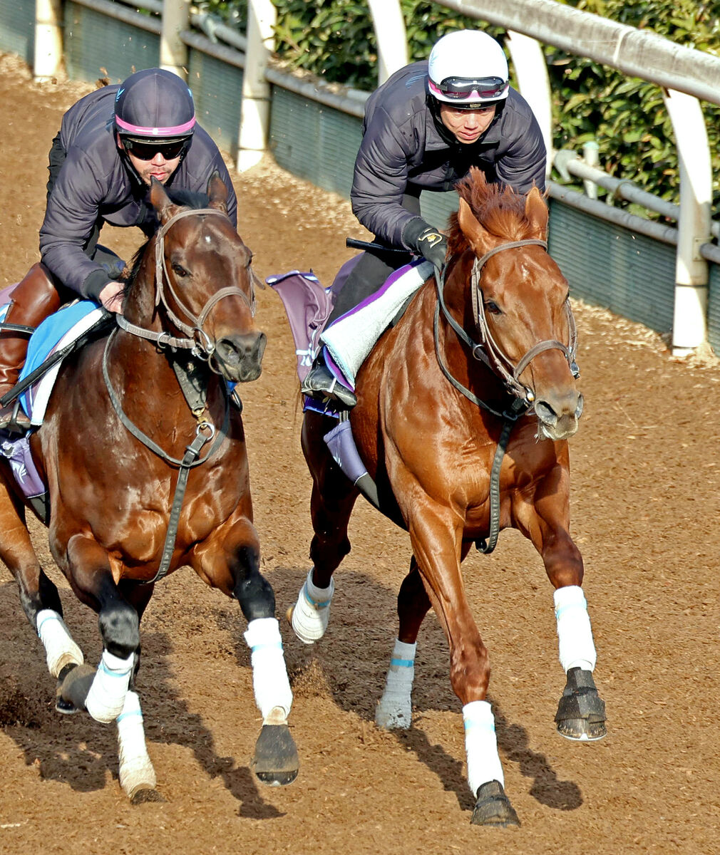 【アメリカＪＣＣ】ダービー馬ダノンデサイル　有馬から異例参戦は秋への布石