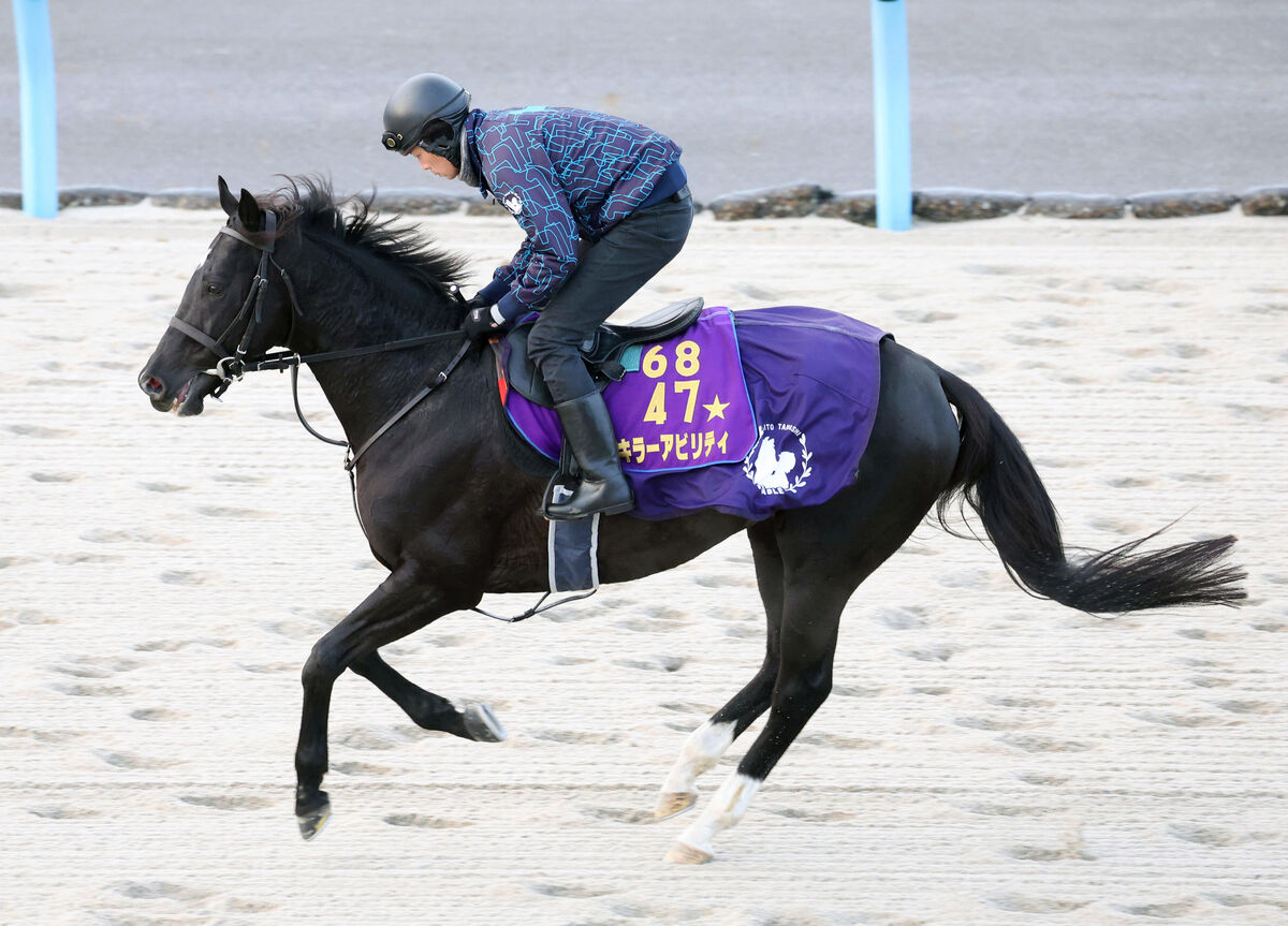 【注目馬動向】キラーアビリティは昨年２着のネオムターフＣへ　２２日に栗東トレセンに帰厩