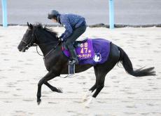 【注目馬動向】キラーアビリティは昨年２着のネオムターフＣへ　２２日に栗東トレセンに帰厩