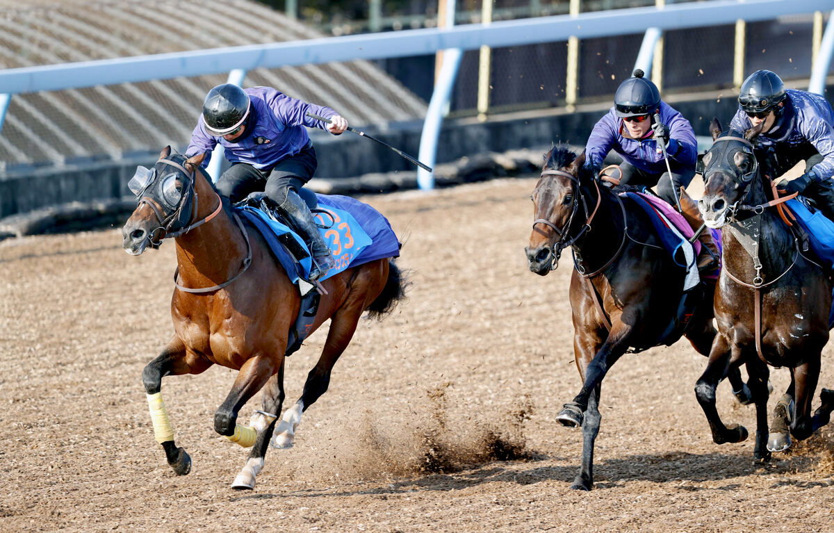 【アメリカＪＣＣ】史上初「中山・芝２２００メートル」重賞完全制覇へ５歳馬が上々の動き