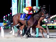 【船橋競馬・報知グランプリカップ（２３日）】キングストンボーイ重賞連勝