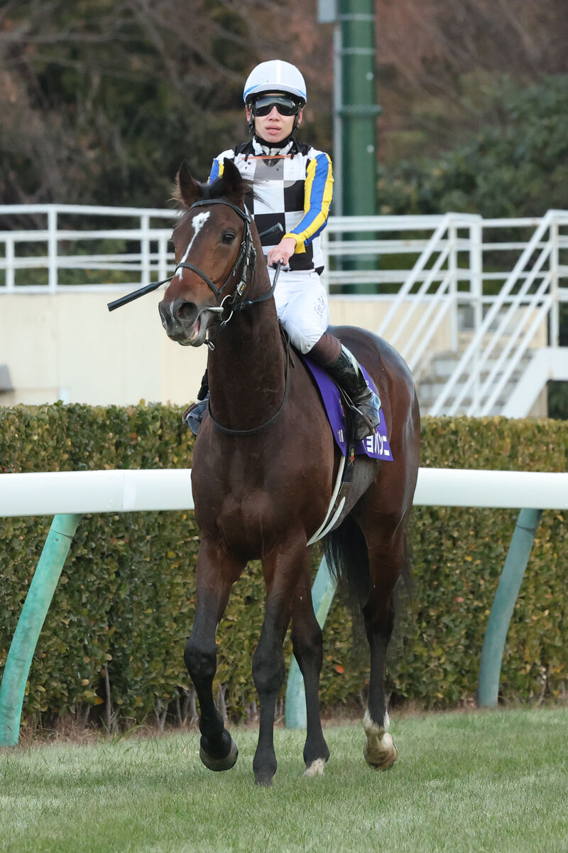 【注目馬動向】ホープフルＳ２着ジョバンニは若葉Ｓへ　鞍上は松山弘平騎手