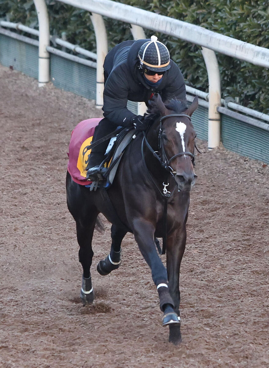 【小倉牝馬Ｓ】川田将雅騎手騎乗のクイーンズウォークは５枠９番　トップハンデの実績馬は…　枠順決定