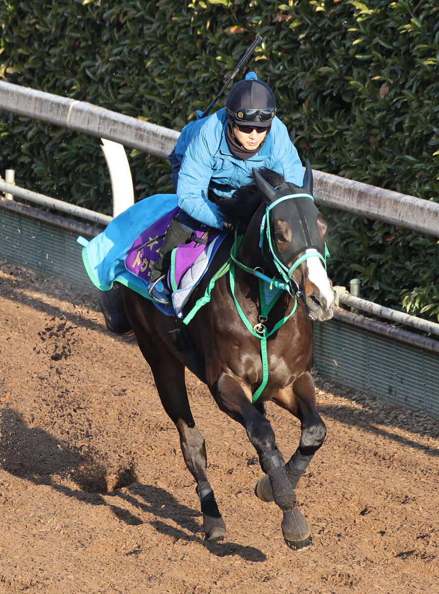 【プロキオンＳ】ダート重賞初Ｖ狙うドゥラエレーデは２枠３番　サンライズジパングは５枠９番