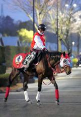 【若駒Ｓ】３億２０００万円馬ジュタは前走後から変化　陣営「急に飼い葉を食べるようになった」