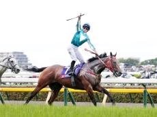 昨年の安田記念で日本馬一蹴の香港最強馬が初参戦のドバイでも圧勝　次戦は世界最高賞金のサウジＣ参戦へ