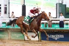 北米の年度代表馬はＢＣディスタフを制した３歳牝馬　日本のアリスヴェリテも対戦