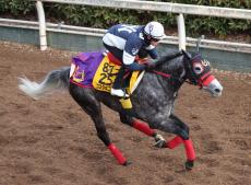 土曜小倉競馬場の注目激走馬…小倉１１Ｒ小倉牝馬ステークス・Ｇ３