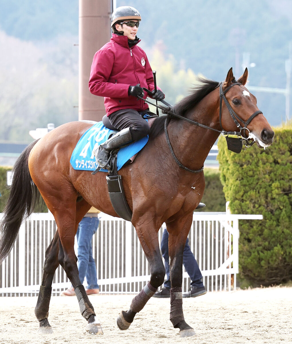 【プロキオンＳ】みやこＳで古馬撃破した４歳馬が単勝１番人気　芝Ｇ１馬が続く　前日最終オッズ