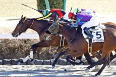 【中山２Ｒ・３歳未勝利】伯父も叔父も米Ｇ１馬の良血マーキュリーダイムが経験馬相手にＶ　ルメール騎手「初めての競馬で…」