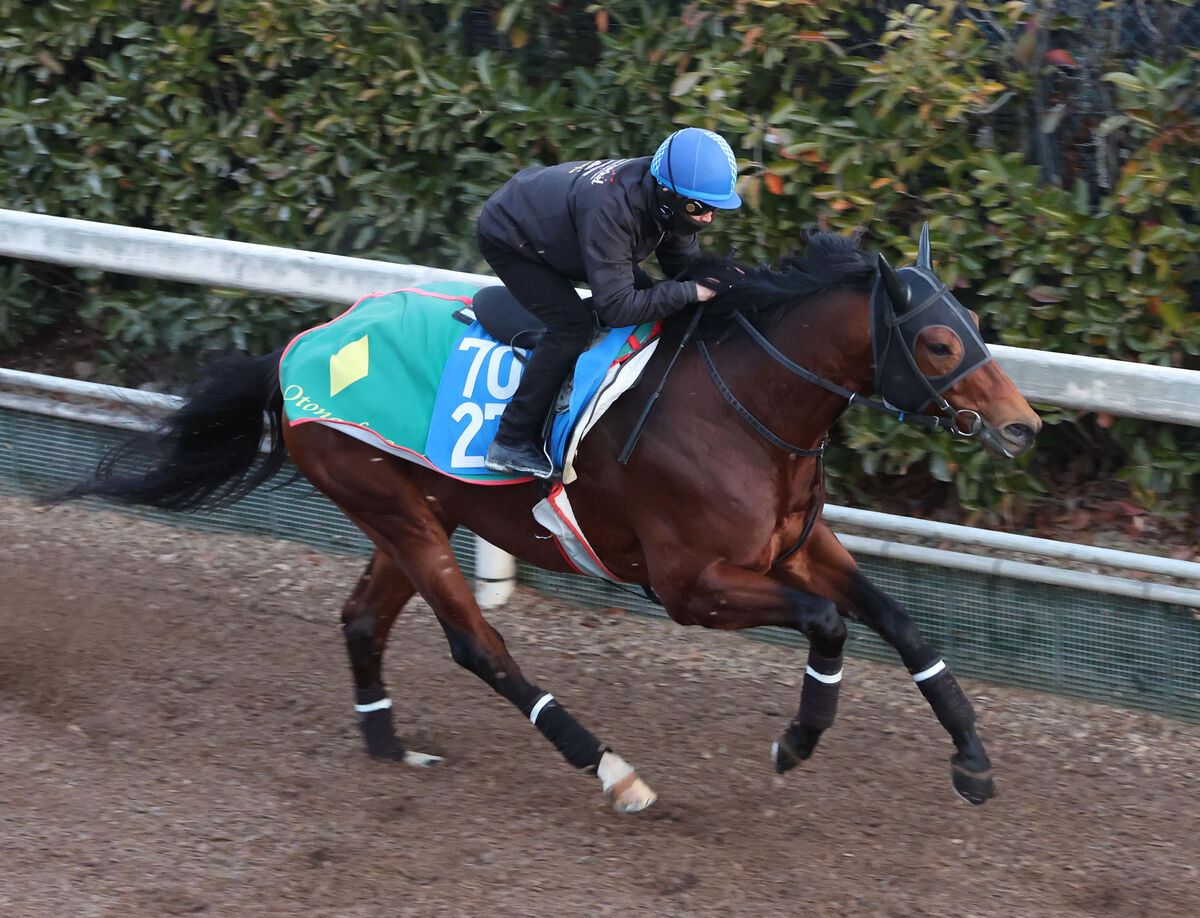 日曜中京競馬場の注目激走馬…中京１１Ｒプロキオンステークス・Ｇ２