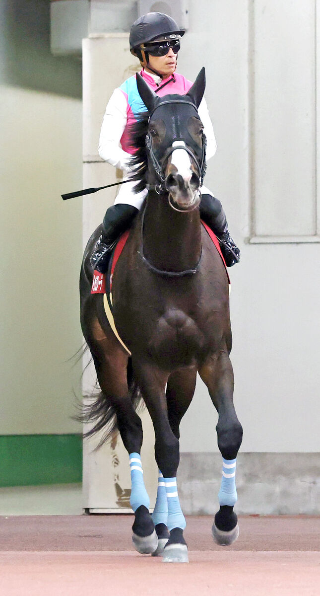 【プロキオンＳ】川田将雅騎手「最後までよく頑張りました」３着のドゥラエレーデほめる