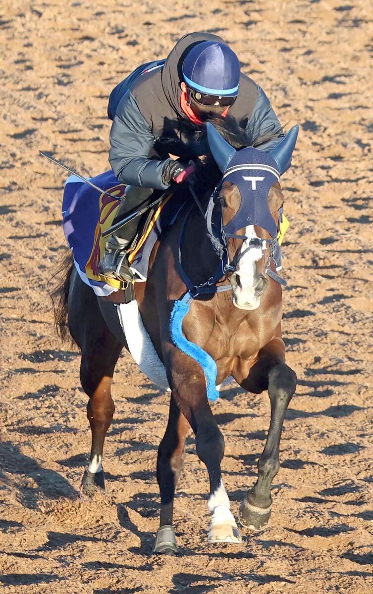 【東京新聞杯】武豊騎手騎乗のボンドガールは重賞５度目の２着で初タイトルならず　鞍上の３９年連続重賞Ｖもお預け