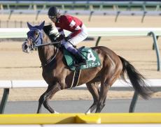 【東京新聞杯】ボンドガール首差届かず重賞で５度目の２着　武豊騎手「勝ったと思ったんだけど…」