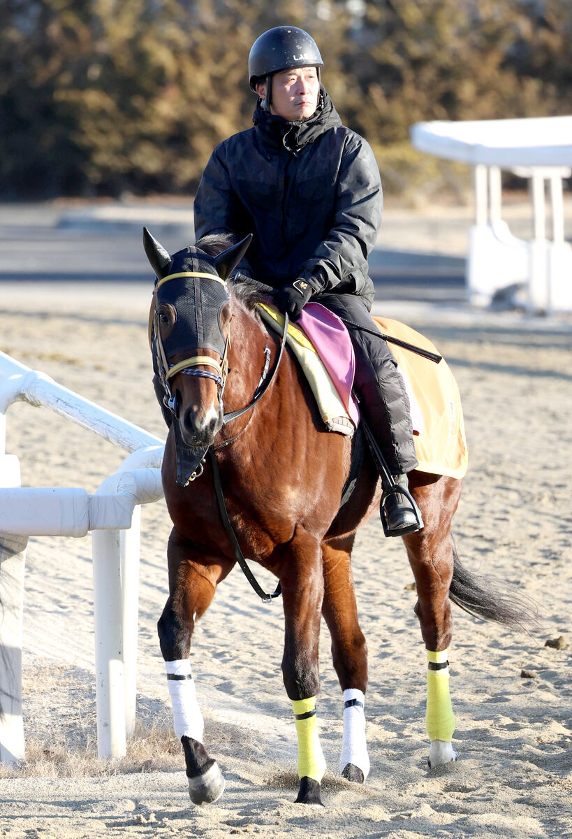 【サウジカップデー】新谷厩舎の２頭が国内で最終追い切り　リメイクもミリアッドラヴも順調そのもの