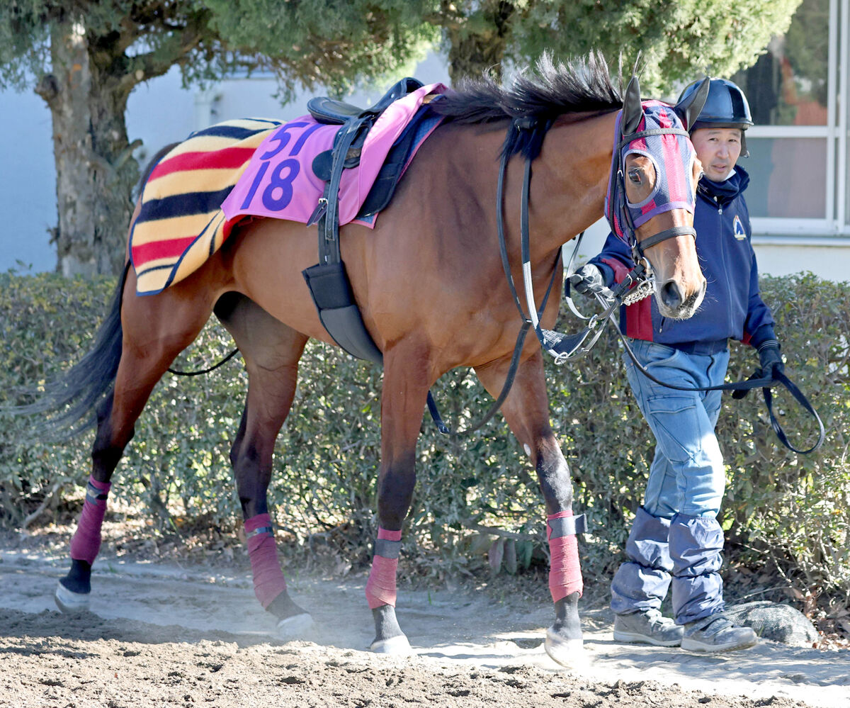 【クイーンＣ・イシゴーの特注馬】エンブロイダリー勝って大舞台へ　森一調教師「世代でトップクラスだと思っている」