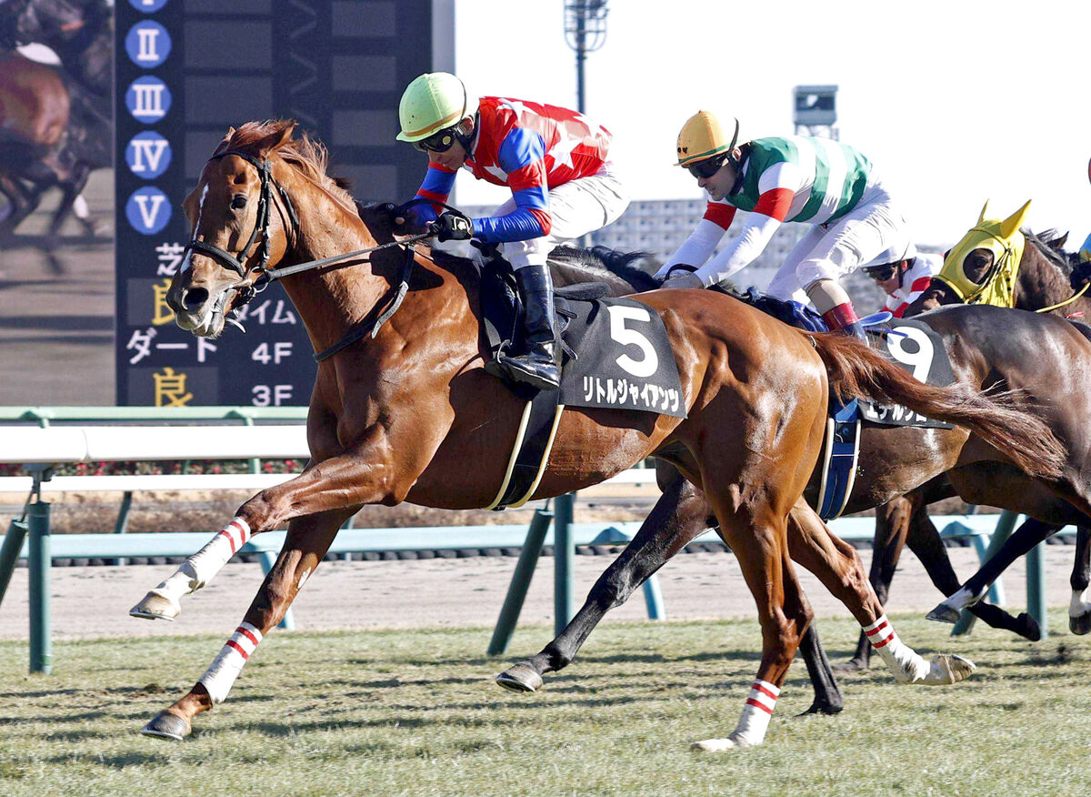 【共同通信杯・坂本の特注馬】伸びしろあふれるリトルジャイアンツ　東京替わりは大歓迎