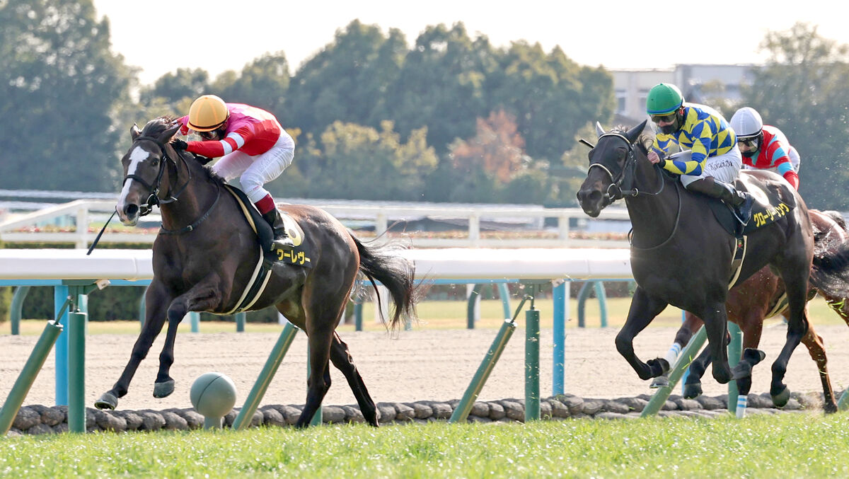 【京都１０Ｒ・エルフィンＳ】唯一の２勝馬ヴーレヴーが賞金加算に成功　浜中俊騎手「我慢が利いて、直線も弾けてくれた」