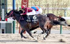 【京都１１Ｒ・アルデバランＳ】４番人気の関東馬ブライアンセンスが抜け出す　岩田望来騎手「伸びしろしかありません」