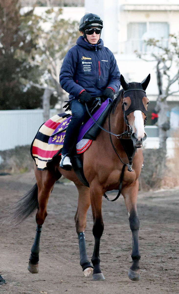 【京都記念】昨年の２冠牝馬が京都記念からブエナビスタら歩んだ名牝ロード