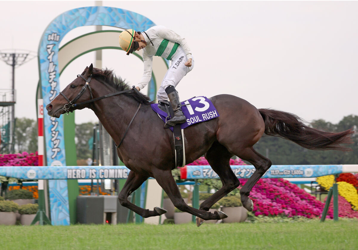 「現役生活はあと数回しか競馬に使えない」調教師の語り口から察知したG１未勝利馬の勝利のサインと記者渾身の予想