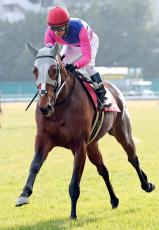 【注目馬動向】重賞２勝のメイショウタバルは大阪杯かドバイ・ターフで復帰