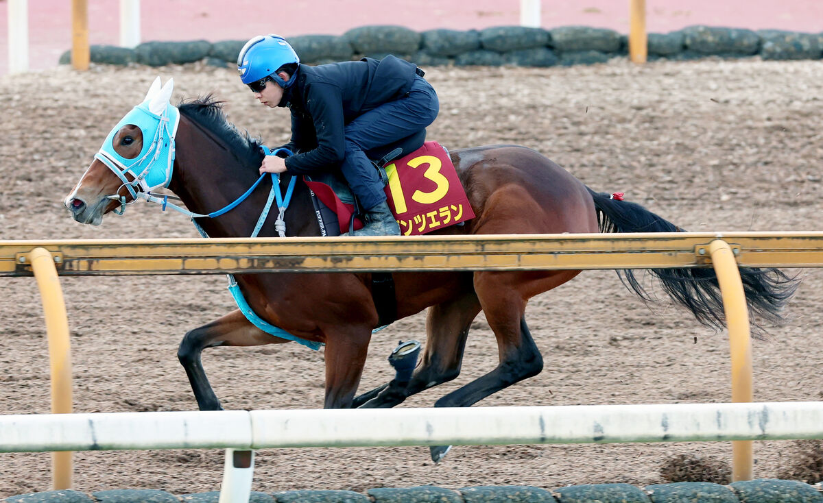 【注目馬動向】ファンタジーＳ勝ち馬ダンツエランの始動戦は報知杯ＦＲに決定　重賞２勝目を狙う