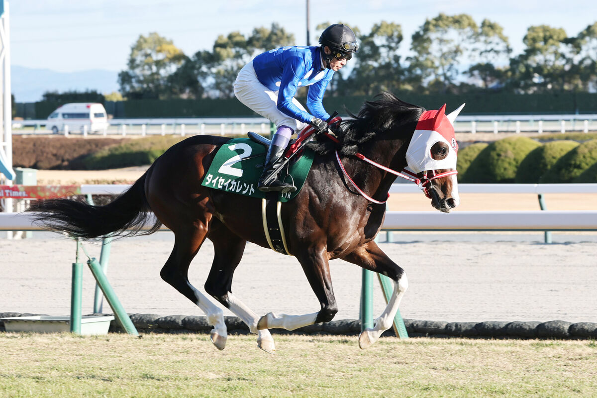 【３歳・注目馬動向】タイセイカレントは雲取賞で吉原寛人騎手と初コンビ　ホウオウアートマンはすみれＳで連勝狙う