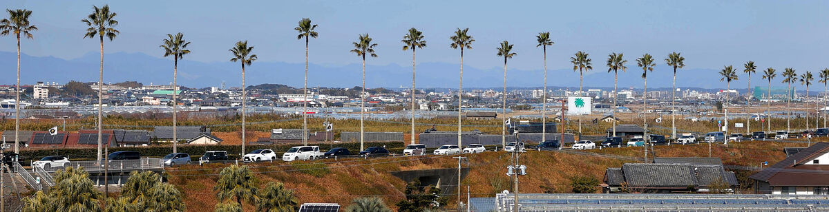 【巨人】今キャンプ最多の観衆２万８０００人　祝日の紅白戦　球場周辺の道路は駐車場待ち大行列