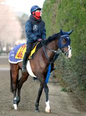 【注目馬動向】東京新聞杯２着のボンドガールは阪神牝馬Ｓへ