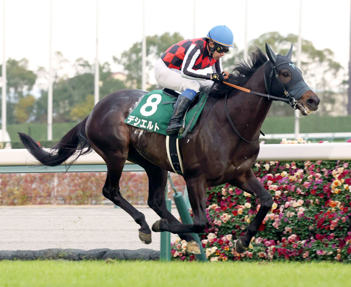 【古馬・注目馬動向】中日新聞杯を制したデシエルトは金鯱賞で武豊騎手と初コンビ