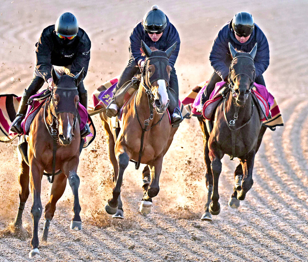 【京都記念】昨年の２冠牝馬に死角なし　３か月の休養で馬体パワーアップ！今春ドバイ遠征へ夢膨らむ