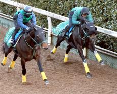 【京都記念】重賞勝ち馬セイウンハーデスが叩き２走目で復活へ　橋口調教師「動きは前回よりもいい」