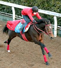 【京都記念】８歳でもまだ若いエヒトが坂路で好タイム　陣営「馬はダメージなく来ています」