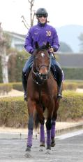 １５日カタールで出走　エコロジークは団野大成騎手　サトノグランツはスミヨン騎手で　ＪＲＡ馬券発売なし