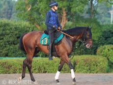 「すでに１２００万稼ぐ」「これはこれで才能」５戦連続で″銀メダル”の３歳馬にネット騒然　イナズマダイモン奮走も