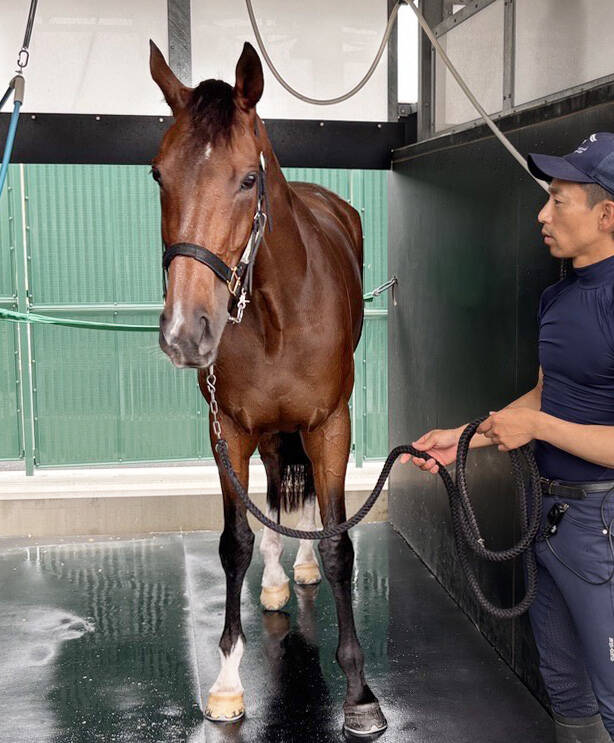 安田記念】24年桜花賞馬の輝き再び ステレンボッシュ転厩3戦目での