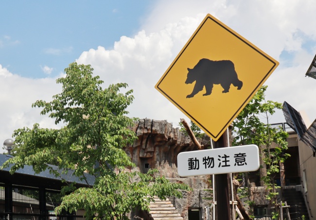 1日じゃ足りない…！ 一度は行っておきたい「旭山動物園の魅力」とは（旭川市）