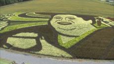 マツコ・デラックスが今年も田んぼアートに　北海道米のイメージキャラクター10周年　見頃は8月上旬