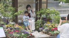 花苗の販売や「ガーデニング甲子園」等で人気…「花フェスタ2024札幌」はじまる　大通公園